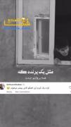 ــــــــــــــــــــــــــــــــــ
