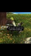 من رو به اون یدونه دوستم😅🎀‌ ‌