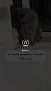 دوست پسر غیرتیو رو باش😂......