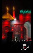 درکلاس عاشقی عباس غوغا می کند ....... # یاابلفضلل عباس✋