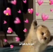 چته؟>>>بهم‌بگو‌چته‌تو؟>>>>>>>>