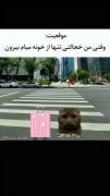 طنز،وقتی من خجالتی تنهایی میرم بیرون..!