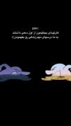 هیچ واقعیت را نفهمیدیم همیشه نصفشو دیدیم