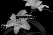 ‌‌‌‌‌‌‌‌‌وَلی مَن هَر لَحظهِ بِه یادِتَم