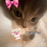 مَن اَشک😭💖‌‌‌‌‌‌‌‌‌‌‌‌‌‌‌‌‌‌‌‌
