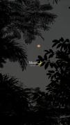 🌙Moon.......................... 