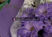 ولی بنفش تا ابد قشنگترین رنگه... :)))