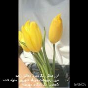 اون دختر رنگ مورد علاقش زرده🐥🌼💛