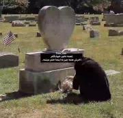 ختم زندگی همه ی ما به اینجا مربوطه🫀🌏