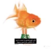 اون منم …….‌‌‌‌‌‌‌‌‌‌‌‌‌‌‌‌‌‌‌‌‌‌