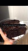 اگه میخوای خوشحالم کنی برام غذا بیار