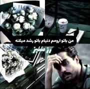گل رز………‌‌‌‌‌‌‌‌‌‌‌‌‌‌‌‌‌‌‌‌‌‌‌‌‌‌‌