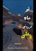 تو شاه مردانی یا علی... عید غدیر... 