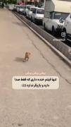 واقعا تنها فیلم خنده داری که فقط صدا داره🤣
