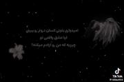 جوری که فیلیکس اعتراف میکنه از همه قشنگ تر است