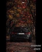 Car human after all...........