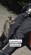 ‌ ‌ ‌ ‌ ‌ ‌ ‌ ‌ ‌ ‌ ‌ ‌ ‌ ‌‌ ‌ ‌ ‌ ‌