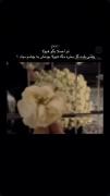  وقتی بلده گل بخره مگه هیولا بودنش به چشم میاد