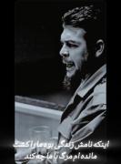 اینکه نامش زندگی بود ما را کشت...