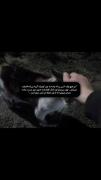 من هیچوقت ادمایی که زود گریه میکنن رو قضاوت نمیکنم