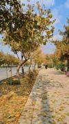 پس از این خزان بهاری دگر است🍁 