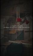 و تمام جانم به قربانت…………………….
