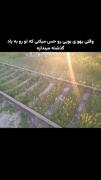 وقتی بوی گذشته میاد میری به قدیم...