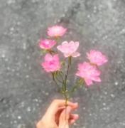 حسی که گل میده🤗🌹🌺🌼🌸....... 