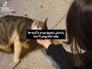 دنبال احساسات توی آدما بودم ولی آخرش اونو توی حیوانات پیدا کردم :)