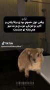 موقعیت تو حموم برقا رفته و تو شامپو رو سرته🤣