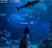 💙🩵…..….……🌊OceanBe Like The 🌊…………..🩵💙