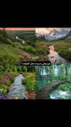 تو زیبایی درست مثل............