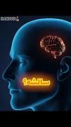آها ۷ ماهشه. چند سالشه؟؟؟؟؟؟؟؟