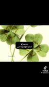  … و میگم به عبارتی نفسم عمرم عشقم وووᴬᴸᴵᶠ`ᵐ 