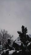 جالبه که خودمم نمی دونم چمه :)