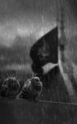 _چِرا‌اَز‌چیزی نمیتَرسی؟ + چون اسپانسرم‌بابا‌حُسینِه:)