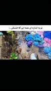 تو به اندازه همه این گلها قشنگی ` N `