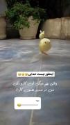من وقتی میگن کاری رو انجام نده