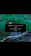ای کاش.. ‌