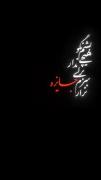 پیرشدیم درسنی که باید جوانی می کردیم