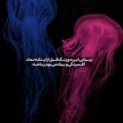فانتزی آبی و صورتی که باهم بودن