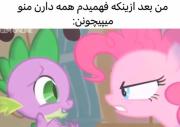 random. ‌