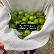 کمتر از یک ماه به اومدن شاهکار ها مونده
