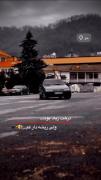 درخت زیاد بود ...... ولی ریشه دار کم .....
