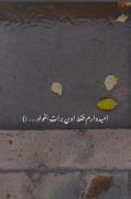 امیدوارم خدا برات خوش بخواد...:)🌿