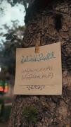بی خبر در بزن و سر زده از راه برس.....