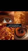 با عسل بهشتی؟.................‌