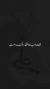 این صاحب ذوالفقار..............