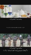 مجموعه ادیت ایران...............