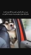 مجموعه ادیت ایران ..............